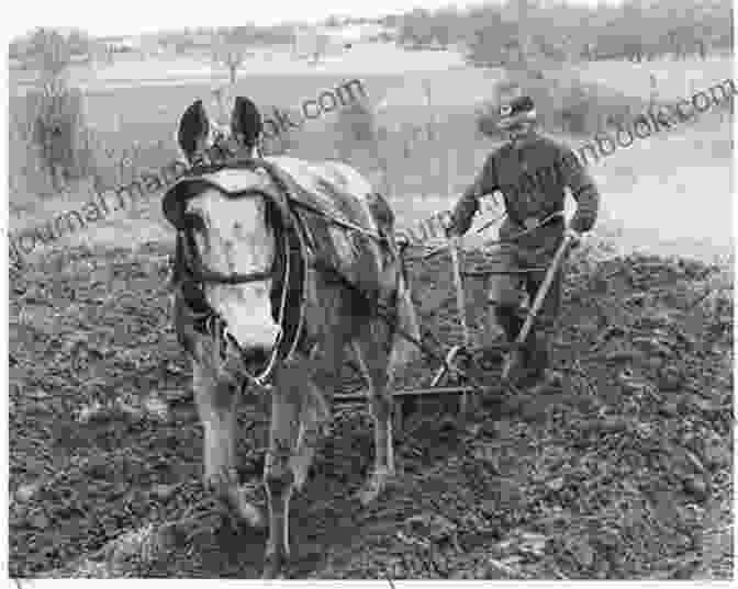 A Farmer Plowing His Field, As Depicted In ‘Works And Days’ Hesiod: Theogony Works And Days Shield