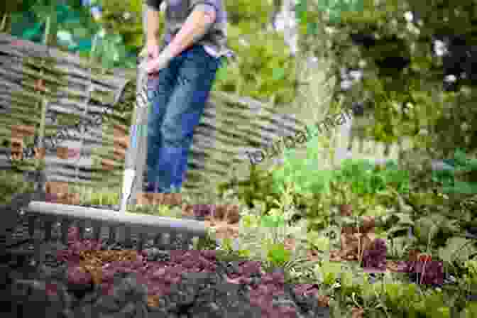 A Gardener Preparing Soil For Planting By Digging And Enriching It With Organic Matter. 40 Projects For Building Your Backyard Homestead: A Hands On Step By Step Sustainable Living Guide (Gardening)