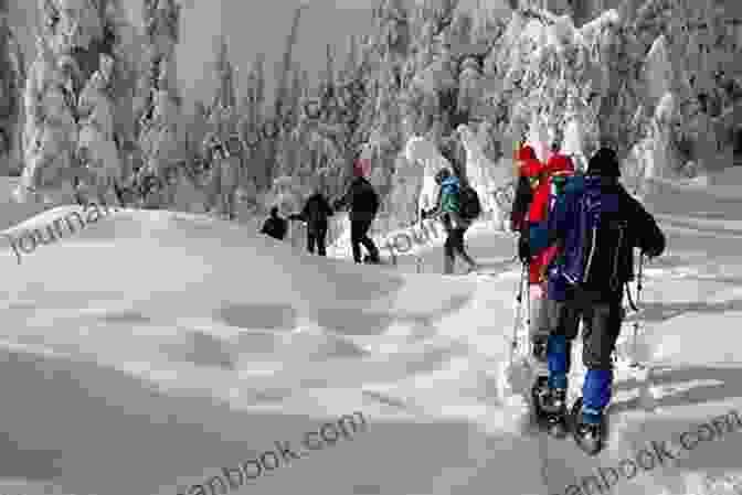 A Group Of People Snowshoeing Through A Snow Covered Forest, With Snow Laden Trees And A Snow Covered Mountain In The Background Snowflakes S Bowen