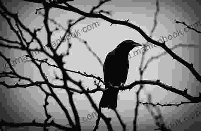 A Lone Crow Perched On A Bare Branch Against A Backdrop Of An Empty Sky, Expressing The Solitude And Desolation Of Loss The Barren Wind: Haiku Collection
