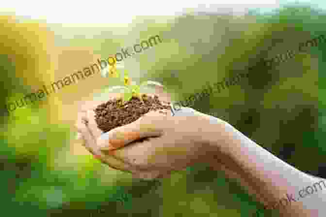 A Person Holding A Small Plant, Signifying The Growth And Strength That Can Emerge From Loss. When Hope Is Not Enough