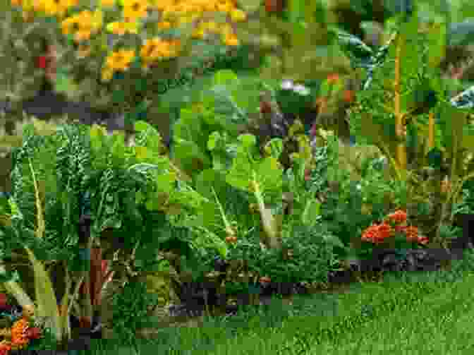 A Variety Of Herbs, Fruits, And Vegetables Growing In A Home Garden Indoor Edible Garden: Creative Ways To Grow Herbs Fruits And Vegetables In Your Home