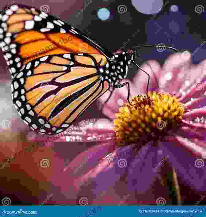 A Vibrant Butterfly Perched Upon A Blooming Flower, Its Delicate Wings Unfurled In Ethereal Grace. My Nostalgia Of Butterflies Sudalai Lakshmi