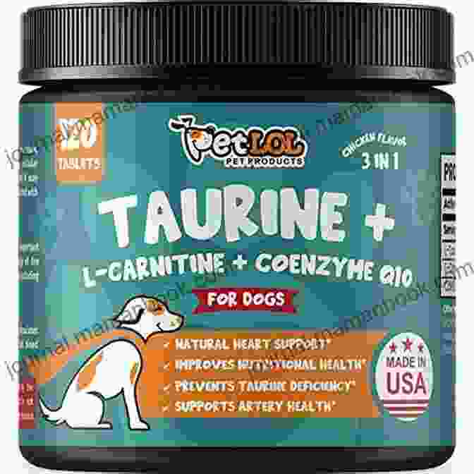 CoQ10 5 Uncommon Super Supplements For Pets