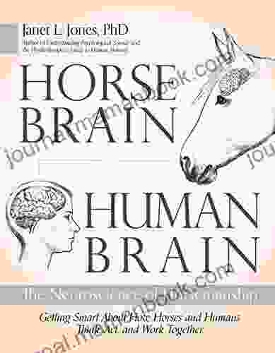 Horse Brain Human Brain: The Neuroscience Of Horsemanship