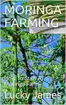 MORINGA FARMING: How To Start A Moringa Farm